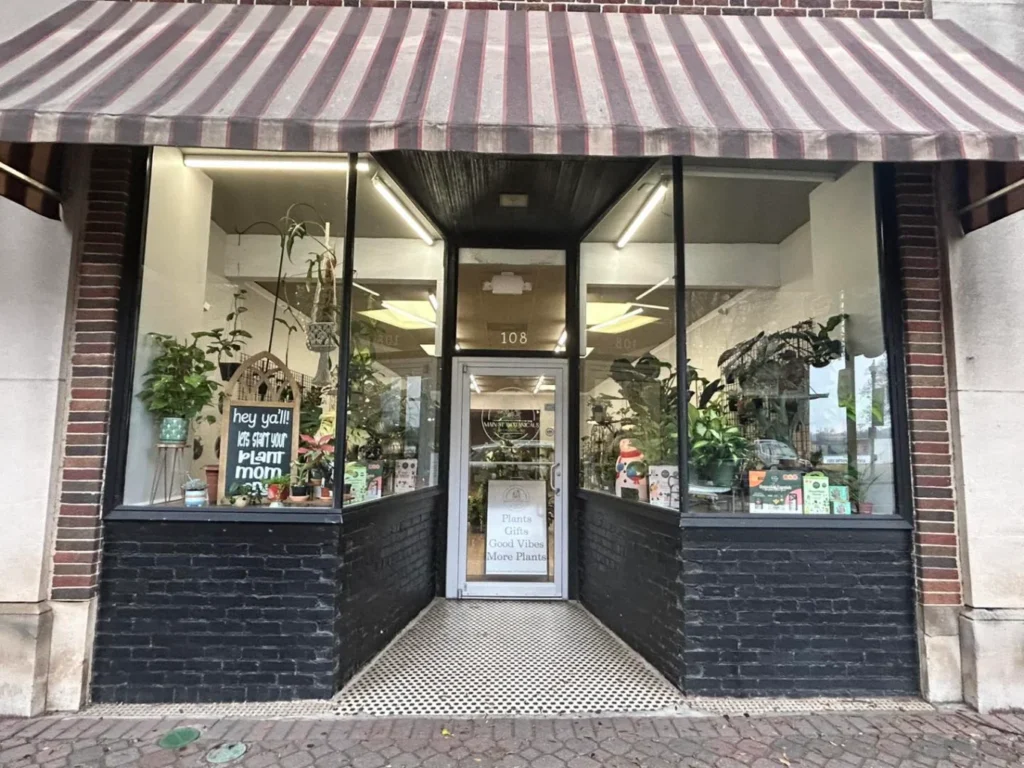 Main St Botanicals